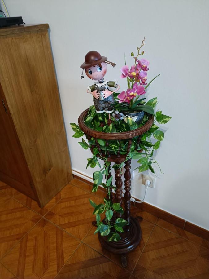 Apartamento Boca Doce 蓬塔德尔加达 外观 照片